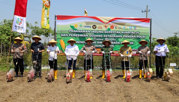 Polres Jombang Kolaborasi Tanam Jagung Serentak di Desa Plosogenuk, Terhubung Virtual dengan Wapres RI dan Kapolri