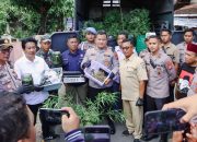 Kapolres Jombang Pimpin Penggerebekan Kebun Ganja di Rumah Kontrakan, Polisi Sita 110 Batang Ganja Hidup