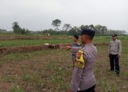 Polsek Bareng Laksanakan Pemantauan Tanaman Jagung Kuartal III Tahun 2026 Dukung Program Ketahanan Pangan