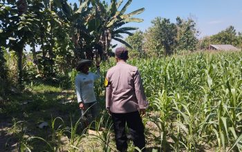 Bhabinkamtibmas Polsek Plandaan Dampingi Warga Dukung Ketahanan Pangan